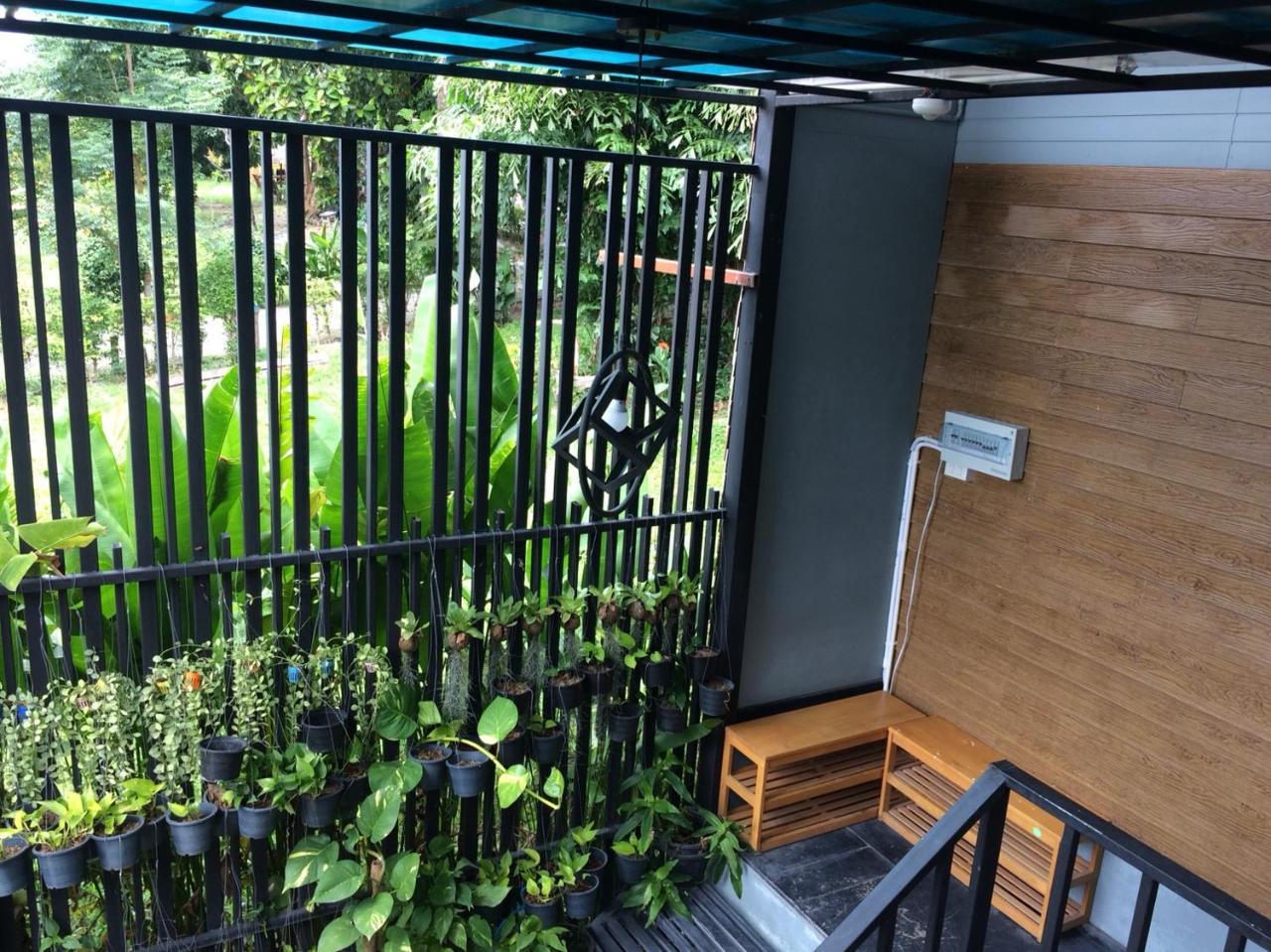 Decho Hostel リペ島 エクステリア 写真